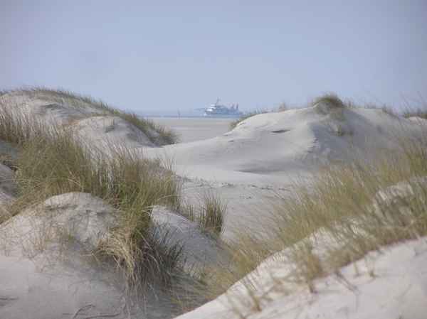 Noch ein Wüstenschiff