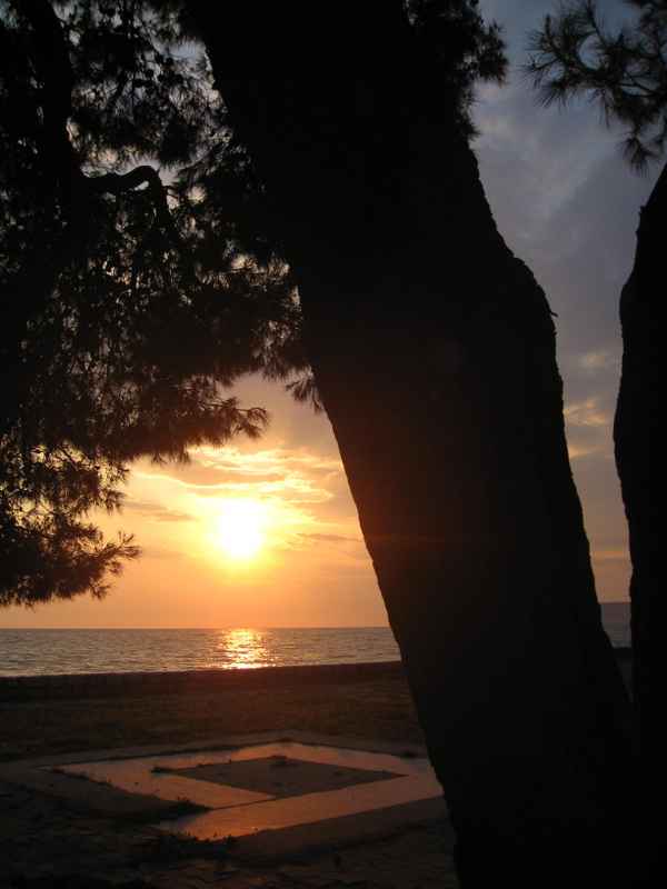 Schatten der kommenden Nacht