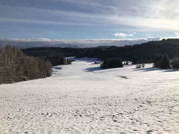 Wintertag im Allgäu. / Foto: Alexander Hauk