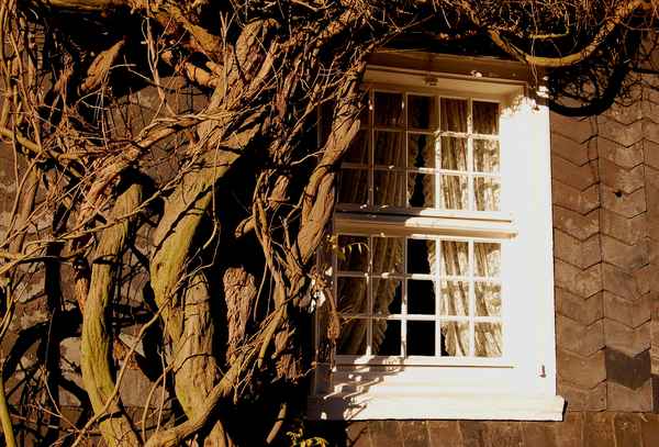 Fenster des Bergischen Landes #3