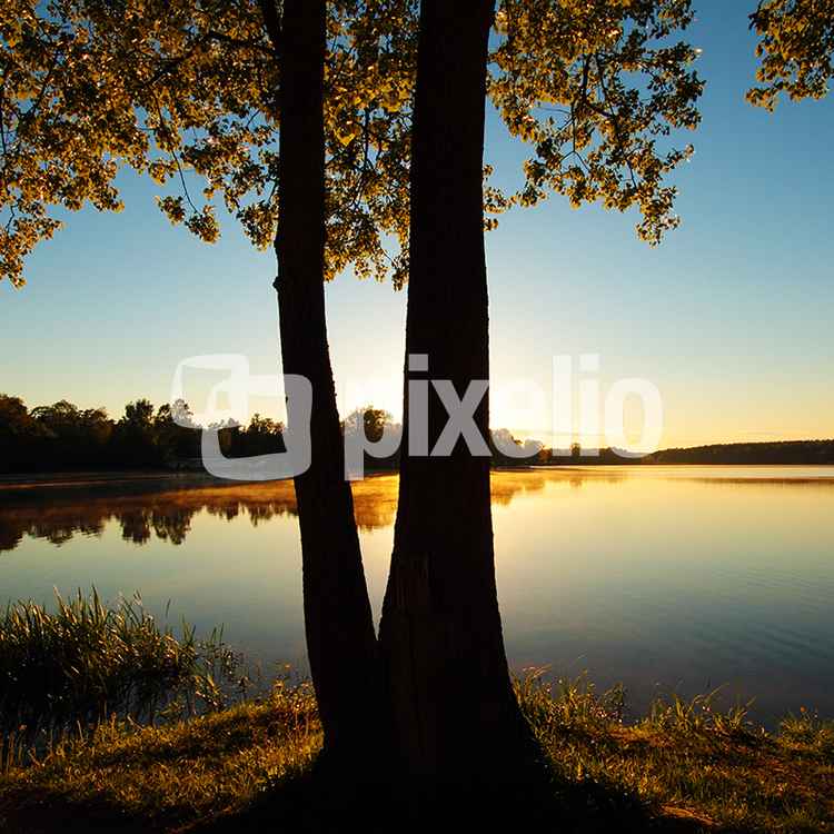 Maiabend am Weiher
