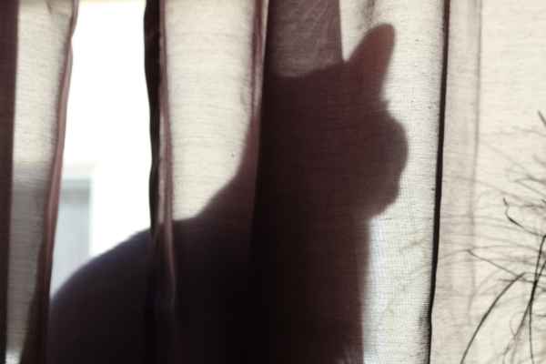 Hinter der Gardine...