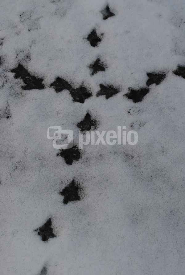 Kreuz im Schnee