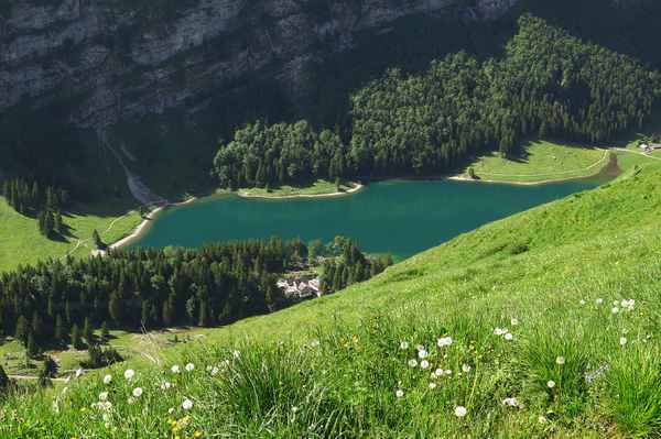 Tiefblick zum Seealpsee