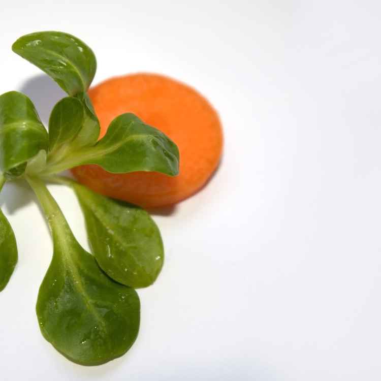 Food Desgin