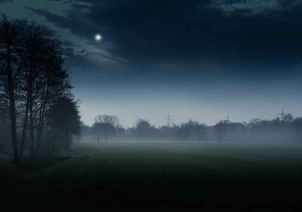 Landschaft im Nebel