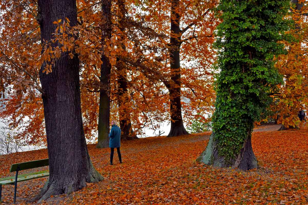 Herbstspaziergang