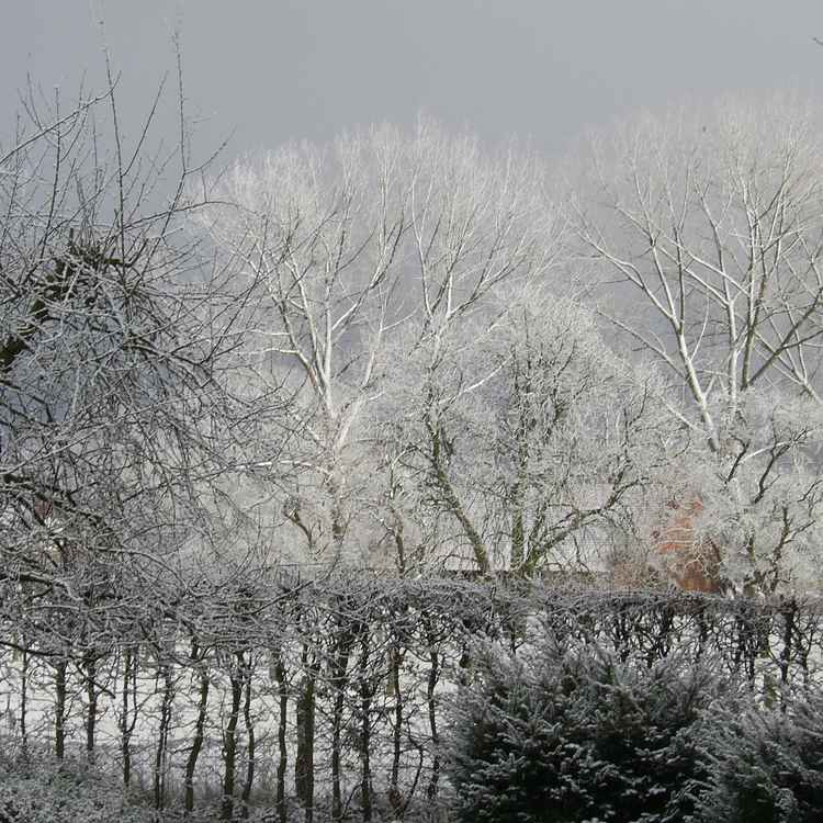 Wintereinbruch im März 2008