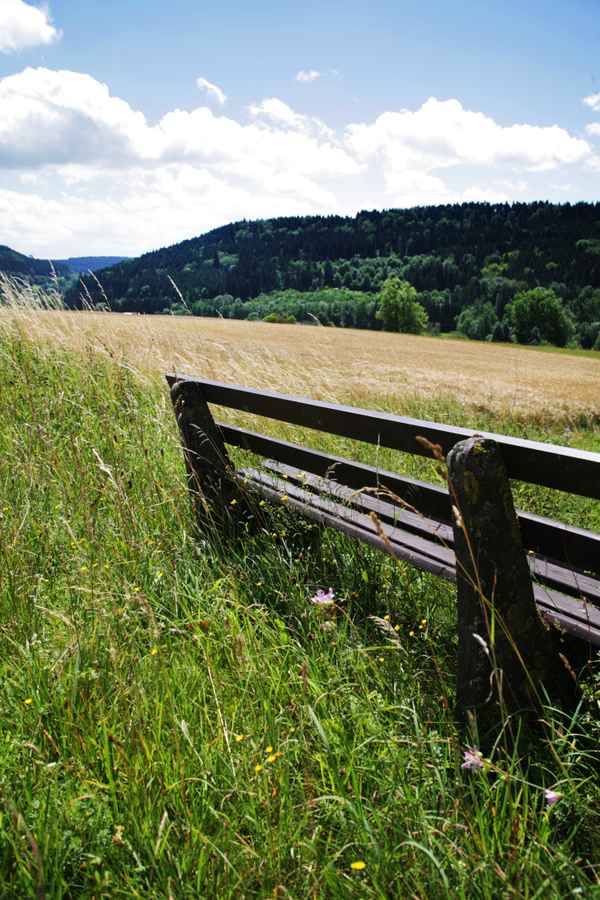 Sommer auf dem Land 2