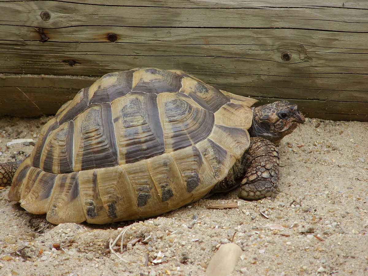 Meine beste Freundin