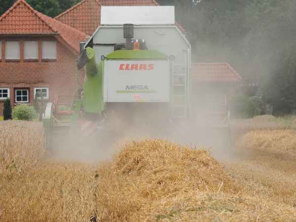 fenster zu, es staubt