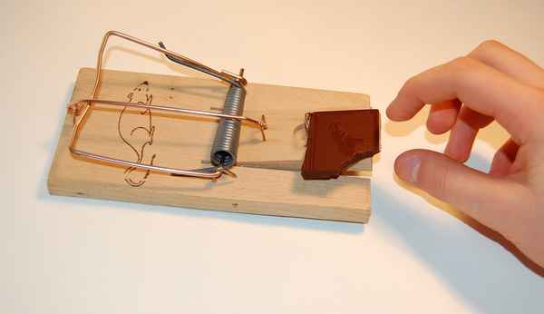 Schokolade verboten !