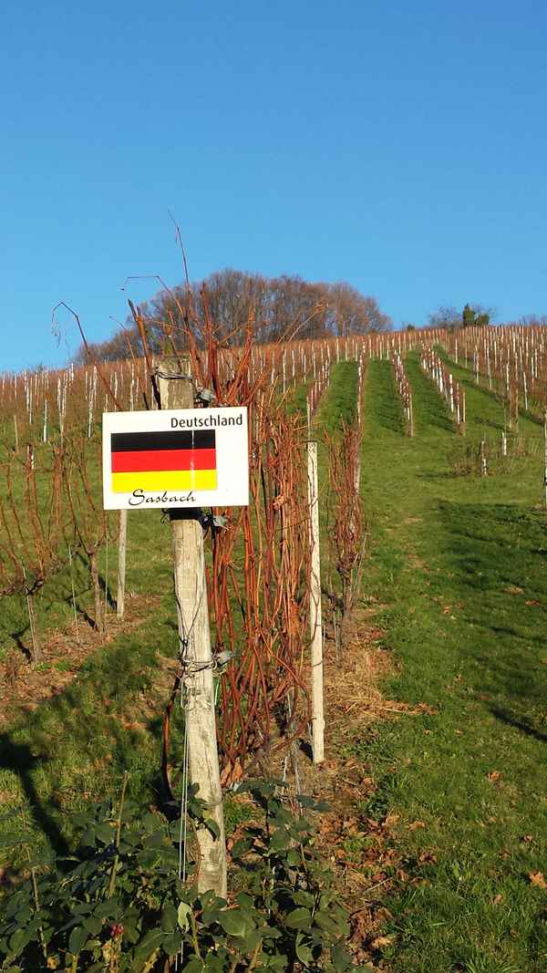 Deutscher Weinberg