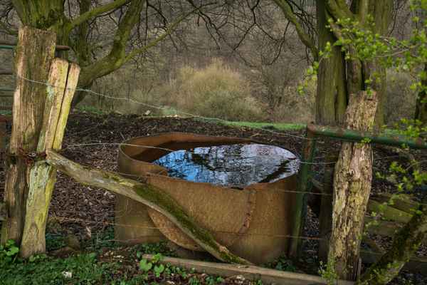 Wassertrog, Tiertränke auf Weide