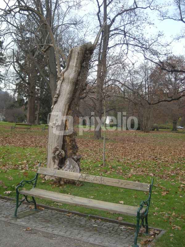bank im park