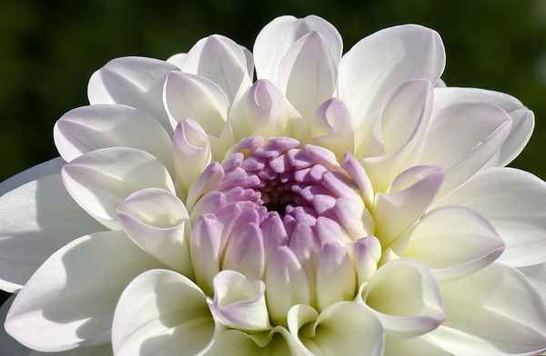 dem Licht entgegen...