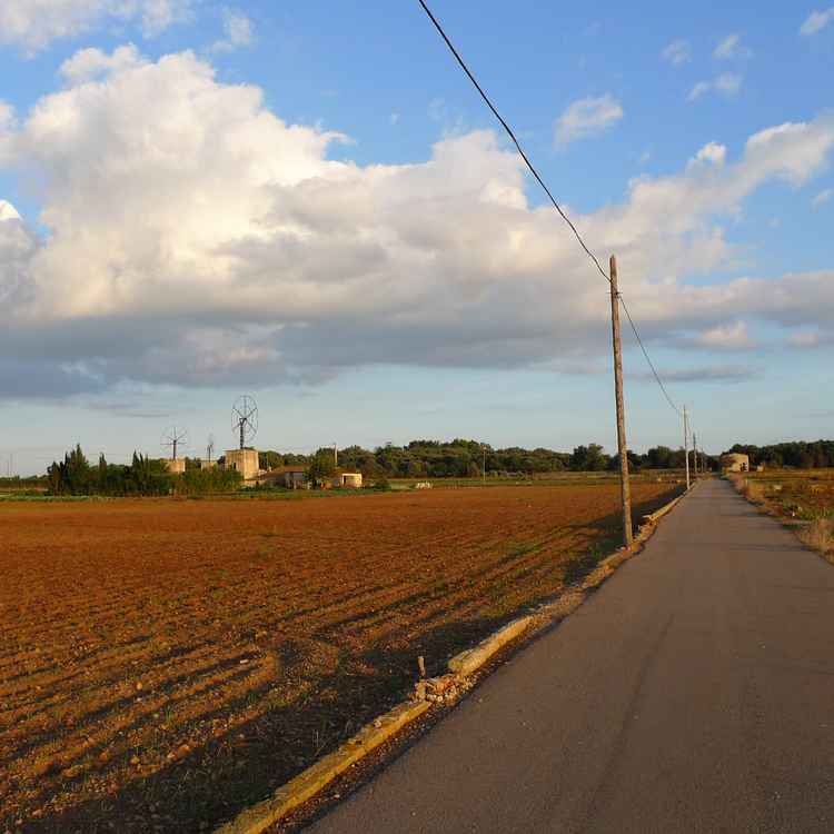 Herbstlandschaft auf Mallorca