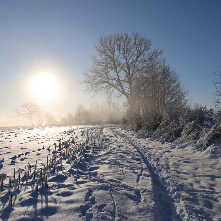 Sonnig-neblige Winterlandschaft