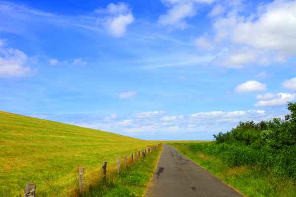 SPAZIERGANG AM DEICH I