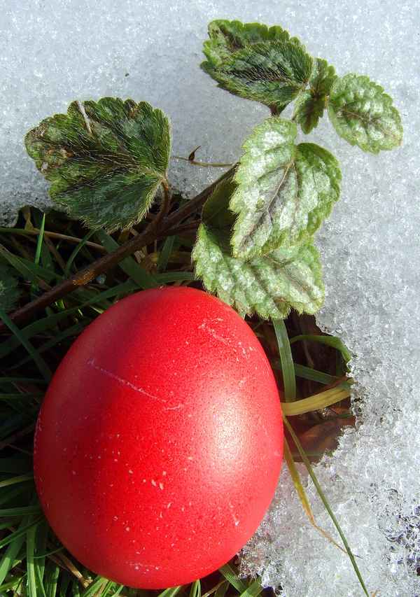 War der Osterhase zu zeitig?