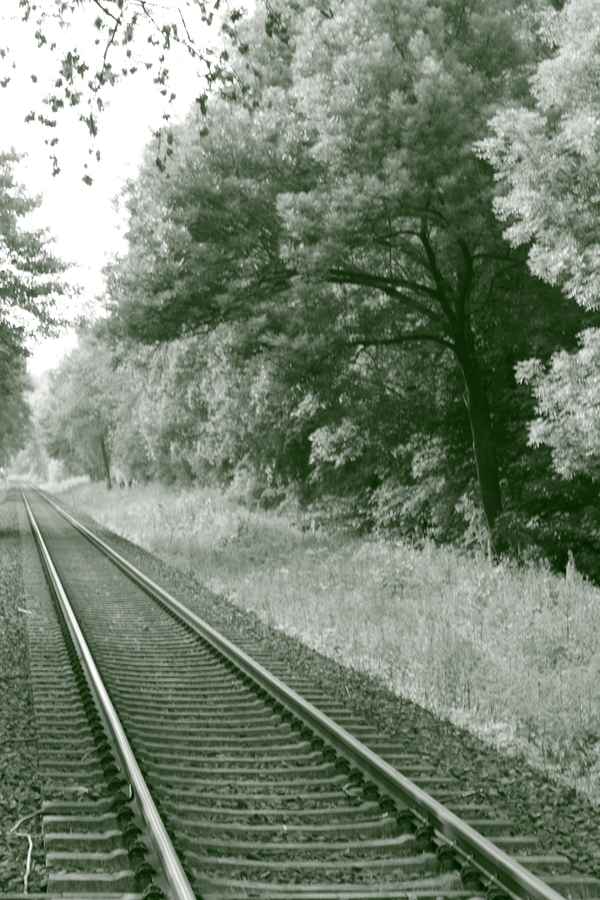 Schienenlandschaft sw