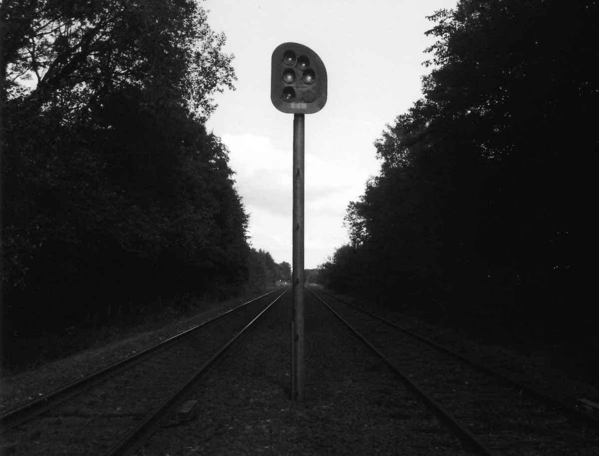 Signal
