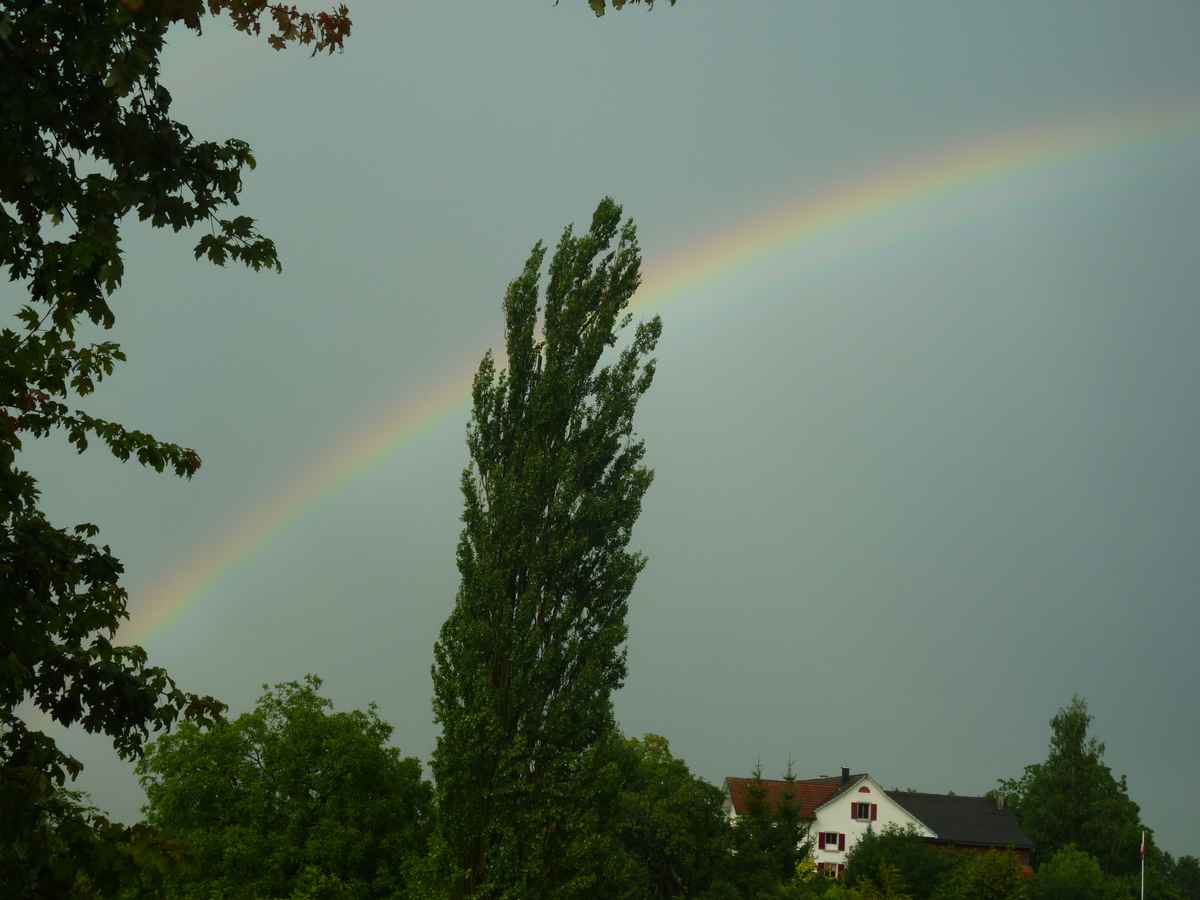 Regenbogen