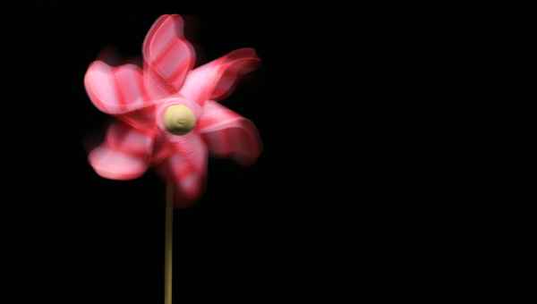 Frischer Wind_2