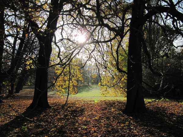 Licht und Schatten
