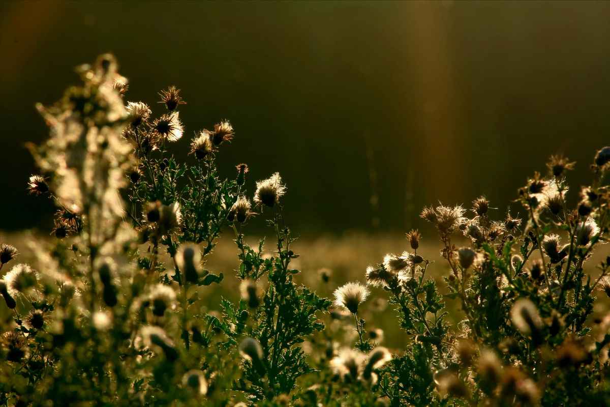 Herbstfarben