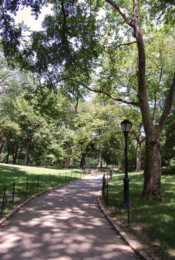 Central Park 3