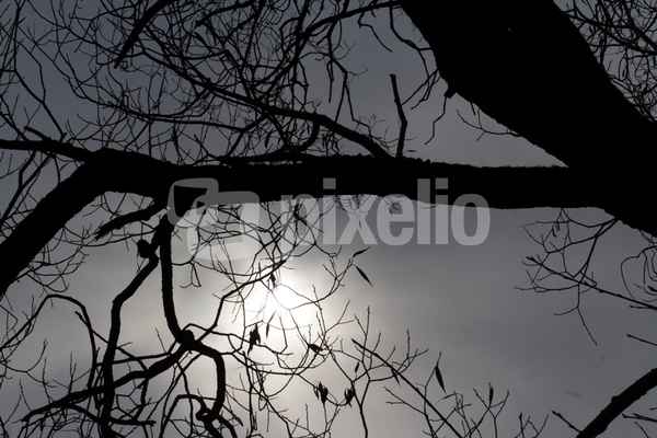 Herbstnebel