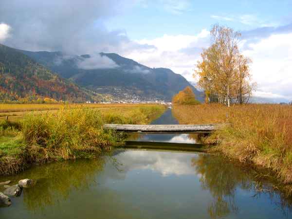 Herbstliche Idylle