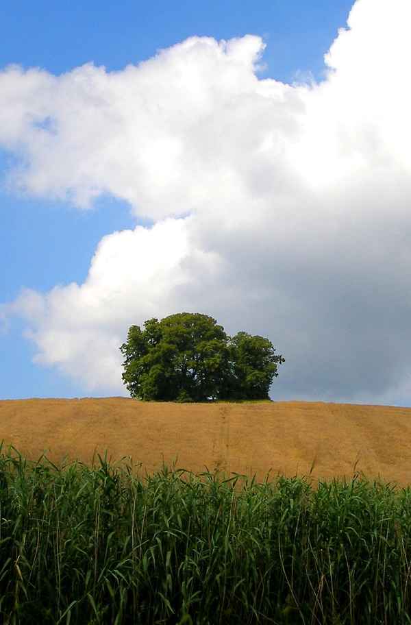 Anhöhe 1
