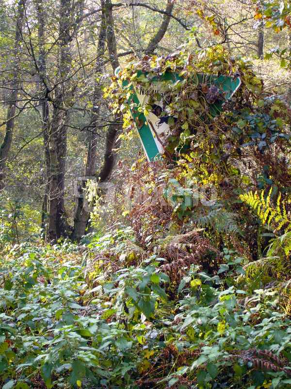 Natur