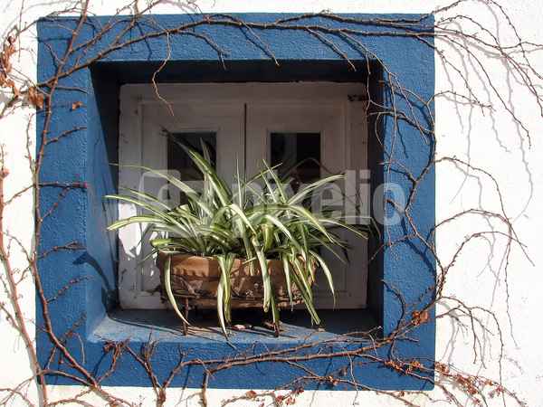 mediterranes Fenster