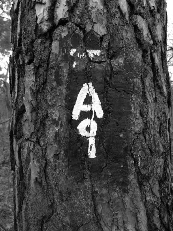 A8