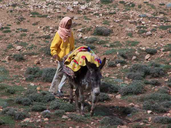 Am höchsten Pass im marokk. Atlasgebirge