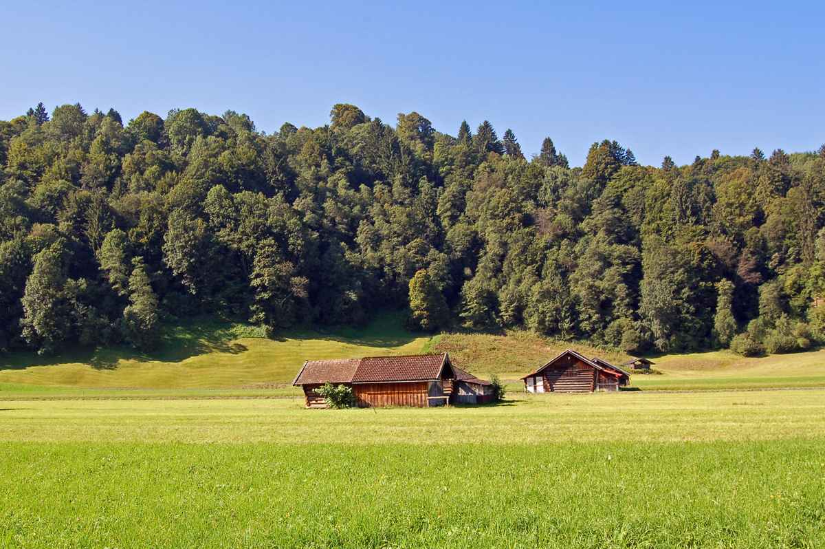 Die Heu-Ernte beginnt