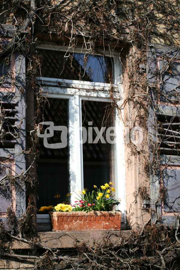 altes fenster