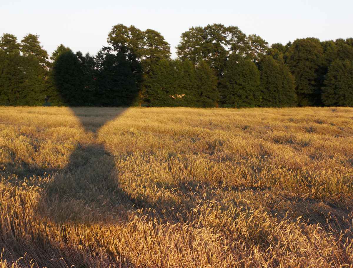 kurz vor der Landung...