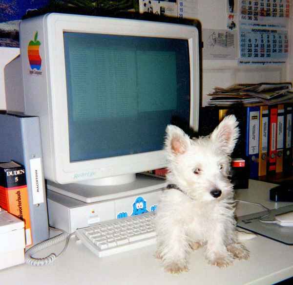 Nee, die Tastatur ist mir zu klein!