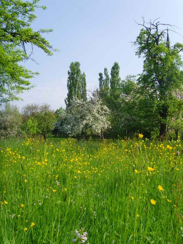 Ich will Frühling!