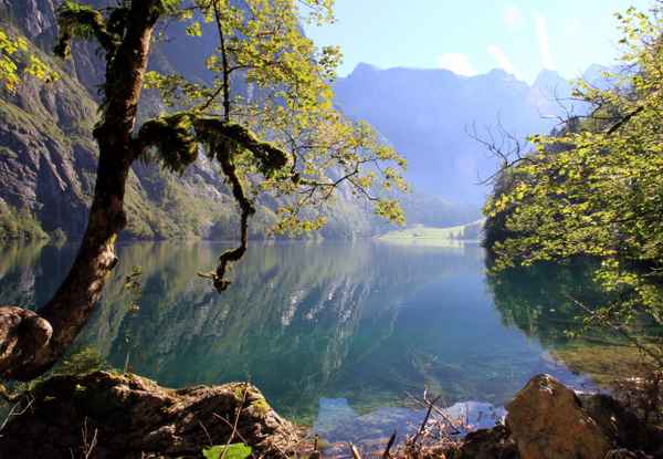 Herbsttag am Obersee