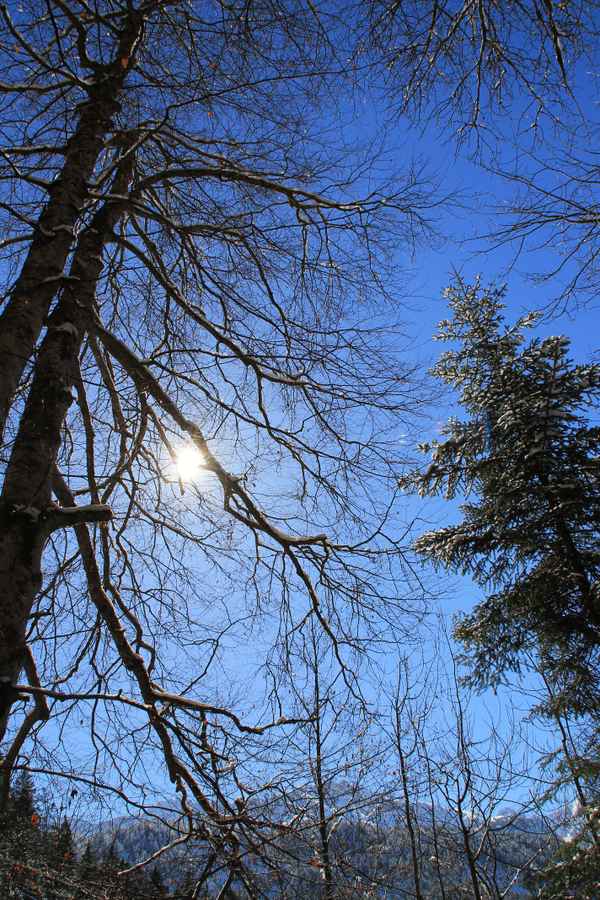 Werdenfelser Wintertraum 11