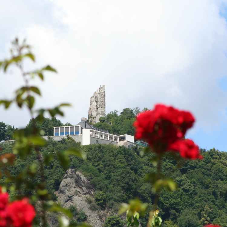 Drachenfels