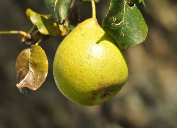 eine der letzten....