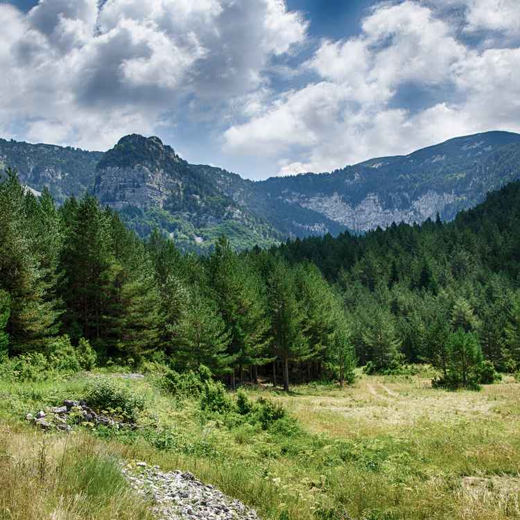 Blidinje