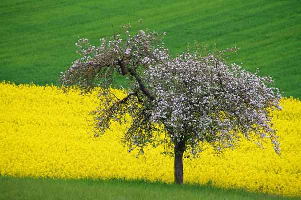 Die Bühne der Natur 03