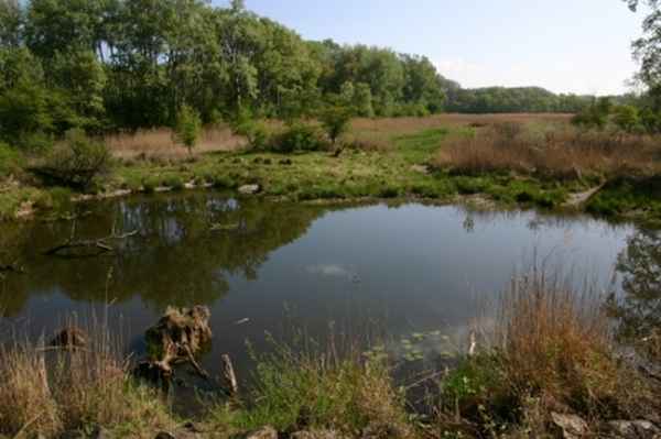 In der Au bei Schoenau